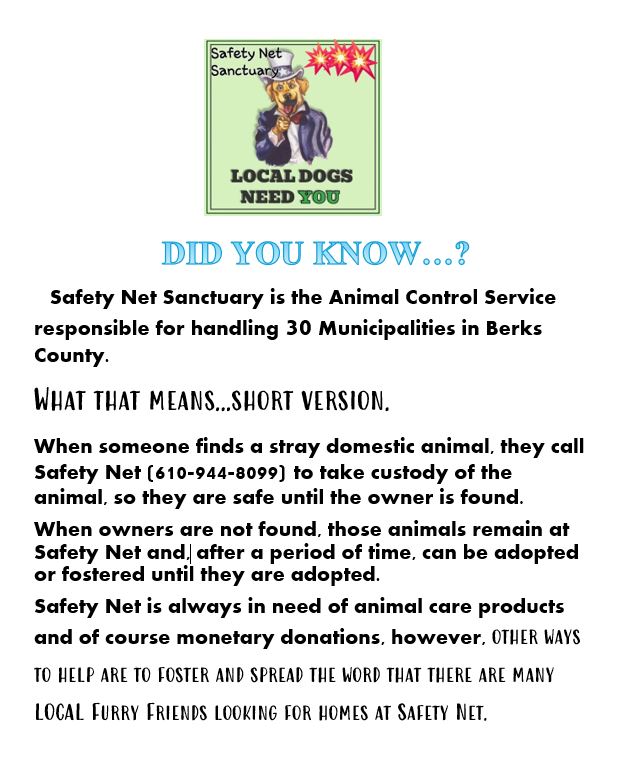 Safety Net Poster